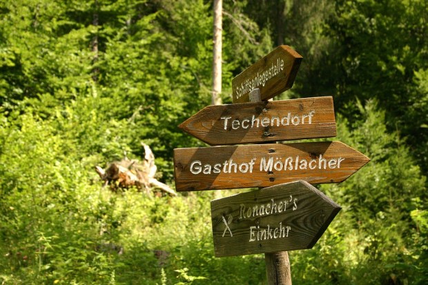 fork-in-the-road-585348_960_720